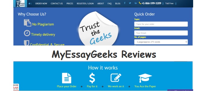 essay geeks reviews