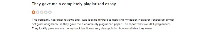 my essay geeks review